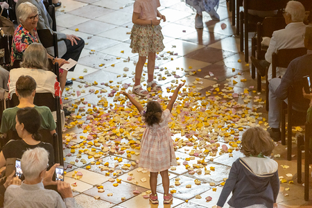 Das Pfingstfest wird am 50. Tag nach Ostern gefeiert. Wegen dieser Ausgießung des Heiligen Geistes am Pfingsttag, von der dieser Text aus der Apostelgeschichte berichtet, wird dieses Ereignis als Geburtstag der Kirche und als Beginn der weltweiten Mi