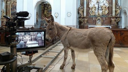 Ausschnitt der Videoinstallation von Nicole Six und Paul Petritsch in der Linzer Ursulinenkirche