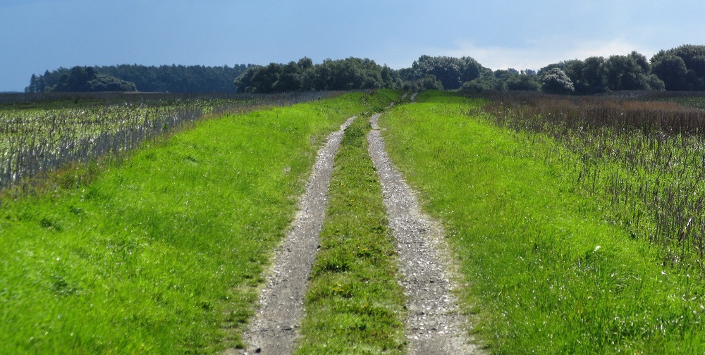 Weg in einsamer Landschaft / Robert Mitscha-Eibl/Kathpress Priester: Heiliges Jahr 2025 hilft bei Neuausrichtung des Lebens