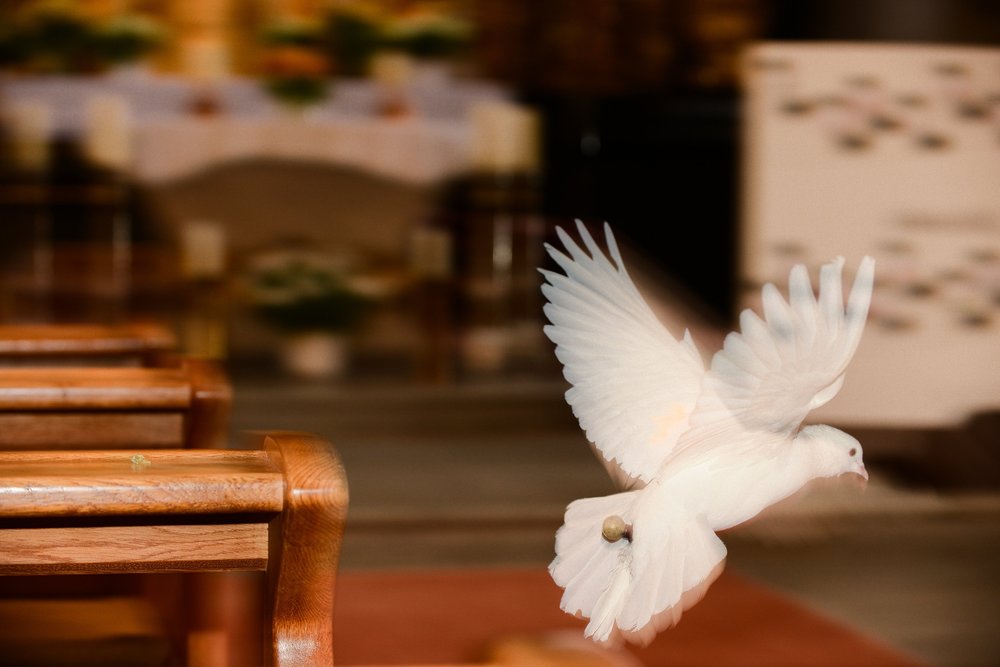 Taube in der Kirche / KNA/Harald Oppitz Glettler: 'Pfingsten ist ein Lebensprogramm'